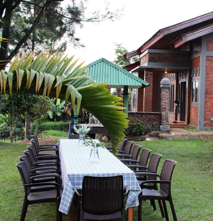 Forest Villa Brujul Exterior foto