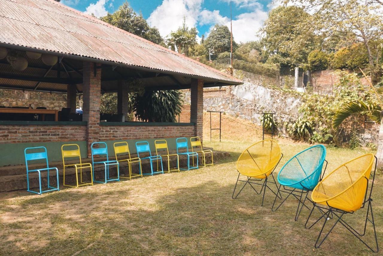 Forest Villa Brujul Exterior foto